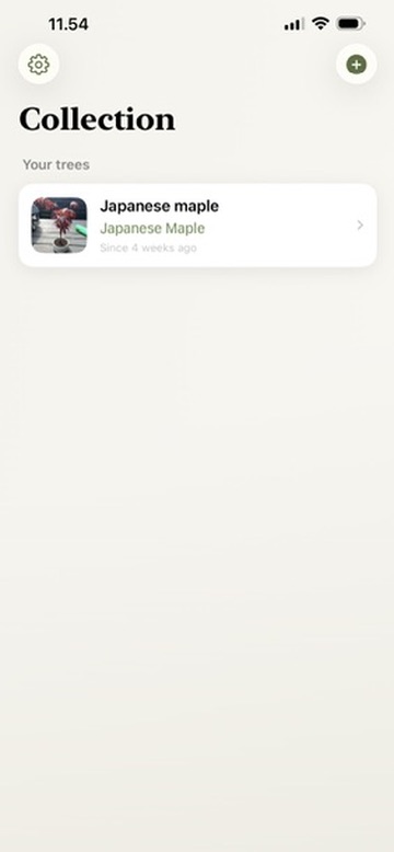 Collection screen showing your trees